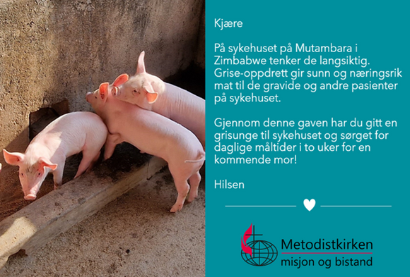 Grisunger på Mutambara i Zimbabwe