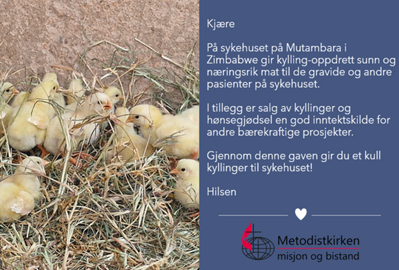 Kyllinger på Mutambara i Zimbabwe